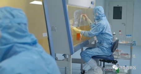 濟(jì)南高新技術(shù)產(chǎn)業(yè)開發(fā)區(qū)管理委員會 引領(lǐng)生物技術(shù)開發(fā)服務(wù)的創(chuàng)新高地