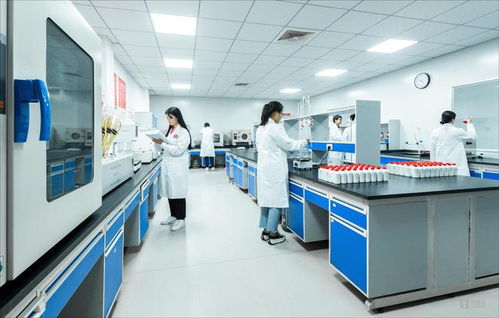 白酒科技如何賦能微生物 從茅臺鎮(zhèn)國臺酒的現(xiàn)代化實(shí)踐看生物技術(shù)服務(wù)新路徑